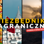 Putin chce mediacji Chin i Indii. Tryumfy AfD | Niezbędnik Zagraniczny NK 31.08-6.09.2024